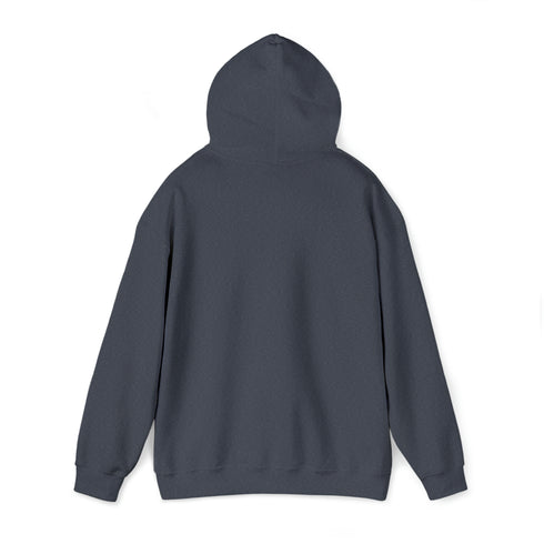 Women Hoodies Women Heavy Blend™ Hooded Sweatshirt Warms hoodies